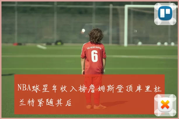NBA球星年收入榜詹姆斯登顶库里杜兰特紧随其后
