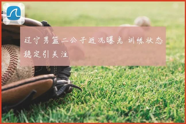 辽宁男篮二公子近况曝光 训练状态稳定引关注