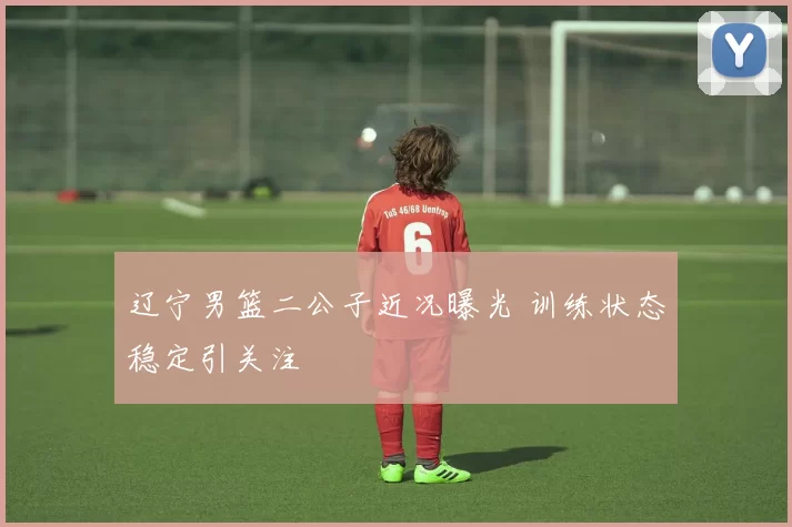 辽宁男篮二公子近况曝光 训练状态稳定引关注