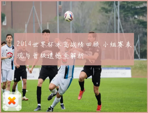 2014世界杯冰岛战绩回顾 小组赛表现与晋级遗憾全解析