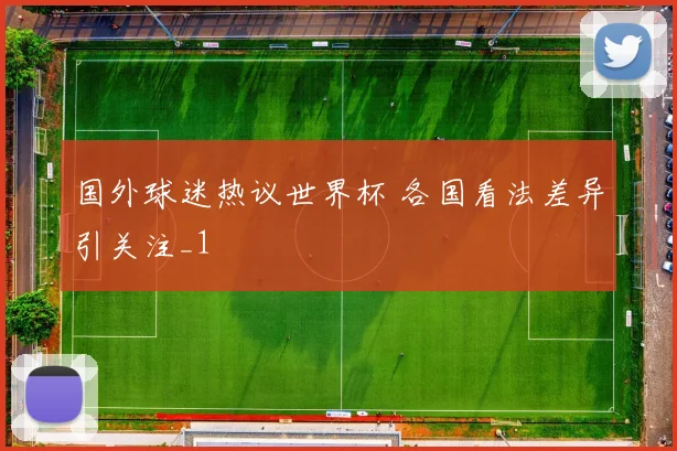 国外球迷热议世界杯 各国看法差异引关注_1
