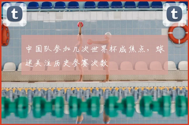 中国队参加几次世界杯成焦点,球迷关注历史参赛次数