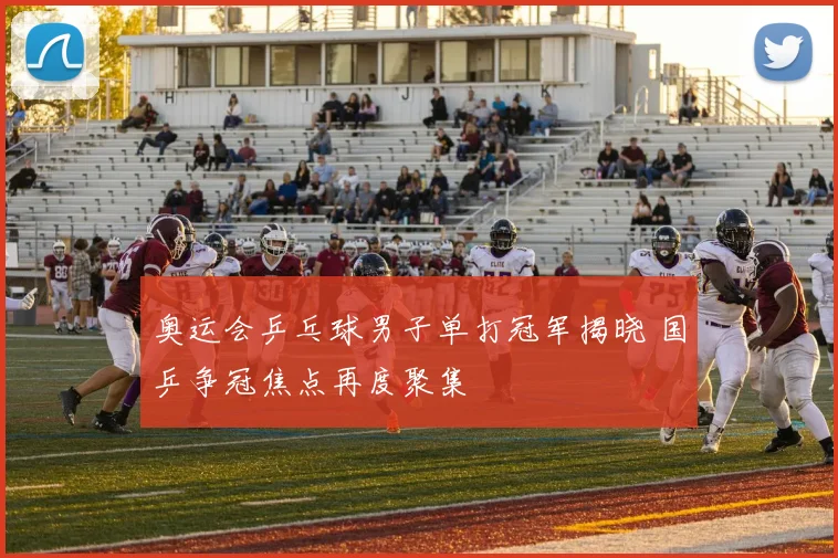 奥运会乒乓球男子单打冠军揭晓 国乒争冠焦点再度聚集