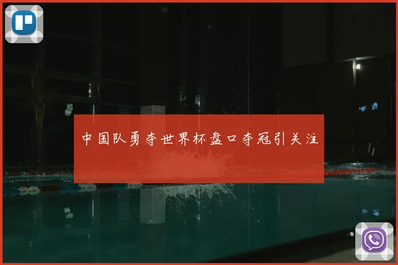 中国队勇夺世界杯盘口夺冠引关注