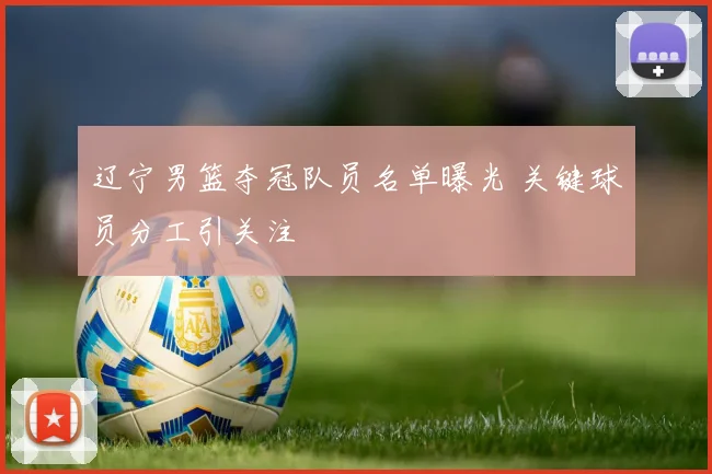 辽宁男篮夺冠队员名单曝光 关键球员分工引关注
