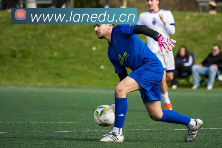 leyu·乐鱼(中国)体育官方网站服务体系